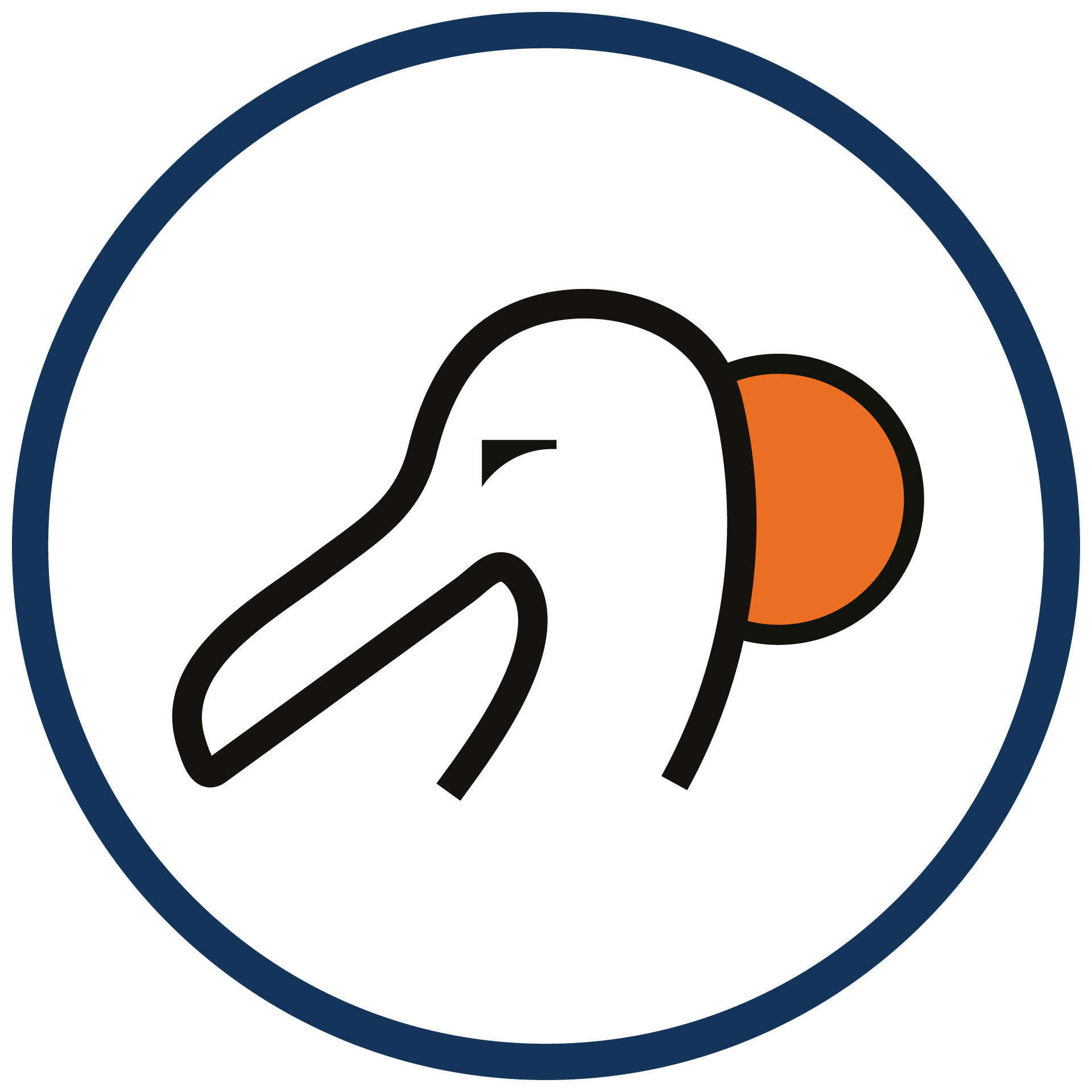 icona-logo-albatros-blu-nero-arancio